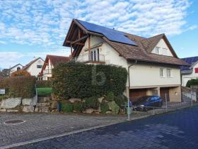 Two-family house for sale in Flüh, Switzerland