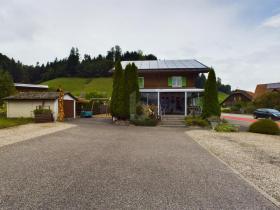 Living & Firm, business-house for sale in Willisau, Switzerland