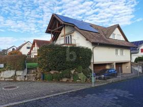 Zweifamilienhaus zu verkaufen in Flüh, Schweiz