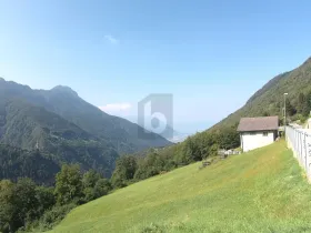 Etagenwohnung Cerentino zu kaufen Schweiz