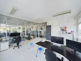 Ofis alanı Ins Kiralık İsviçre
