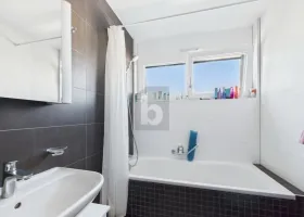 Floor Apartment Saint-Sulpice for rent Switzerland