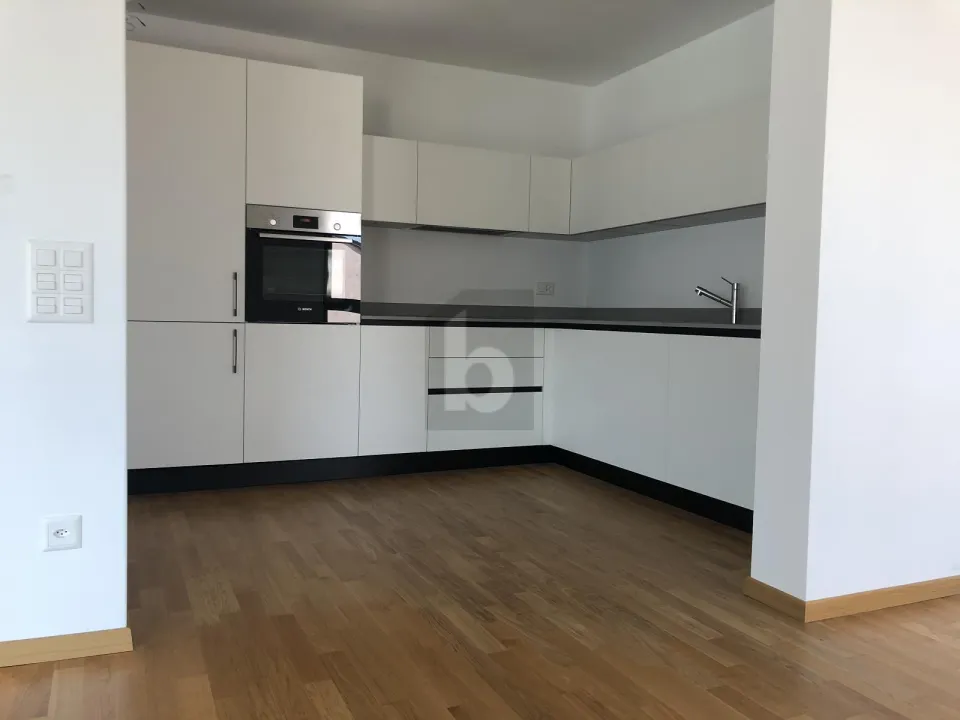 zemin apartman  satılık 'de Mendrisio, İsviçre