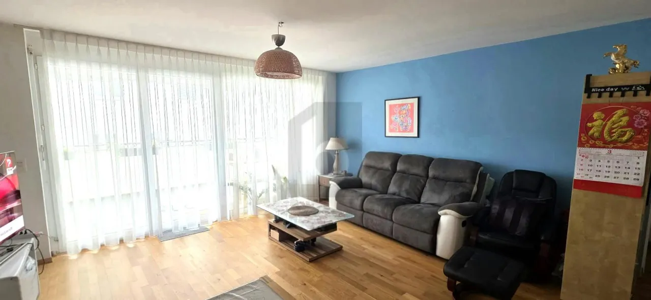 Floor Apartment Lausanne for rent Switzerland