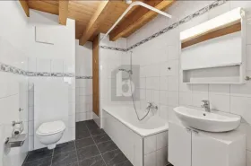 Multi family Waldenburg for sale Switzerland