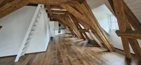 Квартира на верхнем этаже в аренду в Делемон, Швейцария