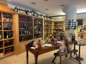 Gastronomy Lausanne for rent Switzerland
