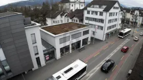 練習 賃貸 で チャム, スイス