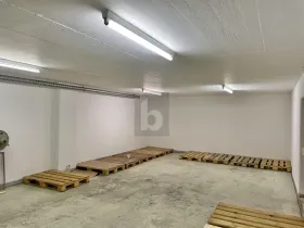 Store for rent in Füllinsdorf, Switzerland