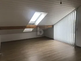 屋根裏部屋 バックス  スイス