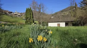 Vidéki ház eladó a  oldalon. Sessa, Svájc