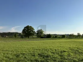 Espace de bureau pour le loyer à Buttisholz, Suisse