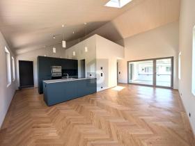 Apartamento sótão para alugar em Stäfa, Suíça