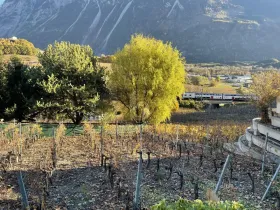 terreno de construção à venda em Salgesch, Suíça