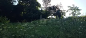 建筑用地 罗维奥  瑞士