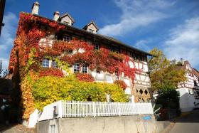 Mehrfamilienhaus zu verkaufen in Uhwiesen, Schweiz