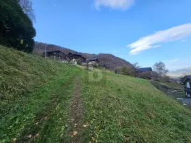 Property land / bosbouw Vionnaz Te Koop Zwitserland