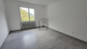 Floor Apartment Faido for rent Switzerland