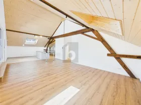 Penthouse for rent in Hauptwil, Switzerland