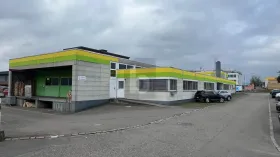 プロダクション・ホール ゴッサウ  スイス