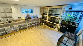 一戸建て ヴェルデンベルク  スイス