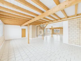 Ofis alanı Tübach Kiralık İsviçre
