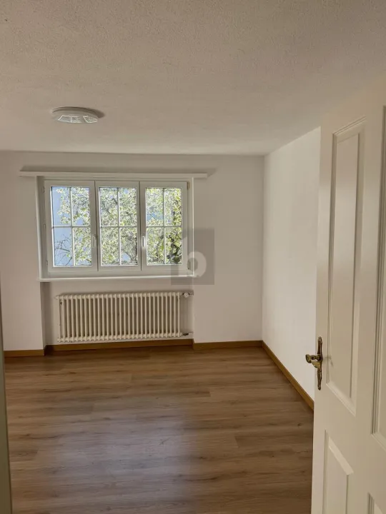 Semi-detached house Niederdorf for rent Switzerland