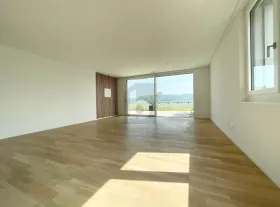 Attico Erlinsbach Vendita Svizzera
