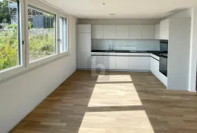 Attico Erlinsbach Vendita Svizzera