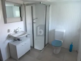 Lapos Cerentino Eladó Svájc