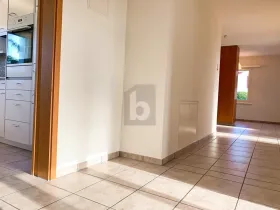 フラット ビューラッハ  スイス