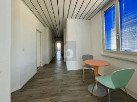 χώρος γραφείου Adliswil Προς Ενοικίαση Ελβετία