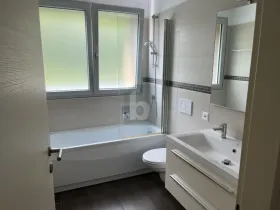 zemin apartman  Monte Carasso Satılık İsviçre