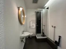 Tienda Biel En Renta Suiza