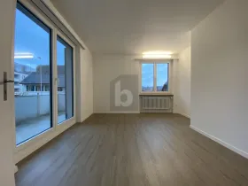 Penthouse Frick for rent Switzerland