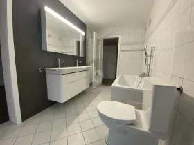 Penthouse Frick for rent Switzerland