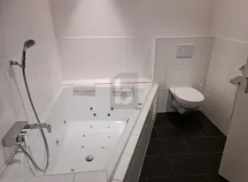 阁楼 阿尔勒斯海姆  瑞士
