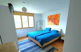 شقة فندقية صغيرة Liestal  سويسرا