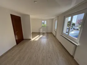 Kutu kuća u nizu  Dübendorf Za najam Švicarska
