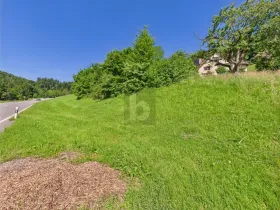 terrain à bâtir en vente à Berneck, Suisse