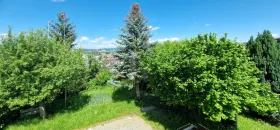 maison semi-jumelée en vente à Villemergen, Suisse