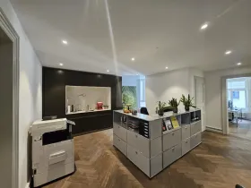 Office space for rent in Zürich-Altstadt, Switzerland