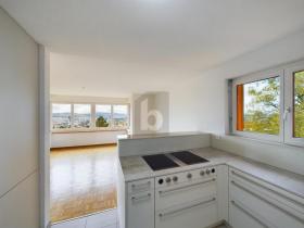 Duplex apartment for rent in Zürich-Kreis 6, Switzerland