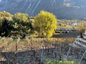 terreno de construcción en venta en Salgesch, Suiza