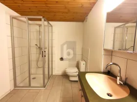 屋根裏部屋 ベギンゲン  スイス