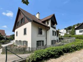 Duplex apartment for rent in Oetwil am See, Switzerland