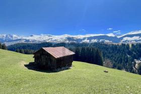 Feriehus til salgs i Breil/Brigels, Sveits