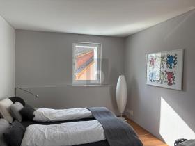 Penthouse Neuhausen am Rheinfall Sveits