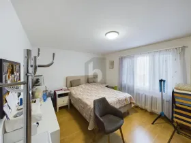 扁平 斯塔琴  瑞士
