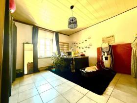 Płaski Pruntrut Szwajcaria